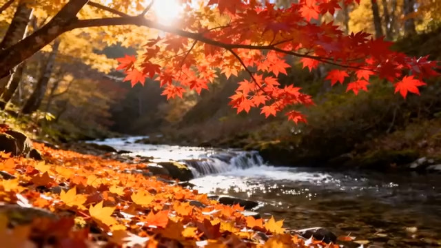  秋日红叶溪流美景1476#横屏 	 