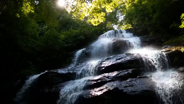  林间阳光瀑布流水1263#横屏 	 