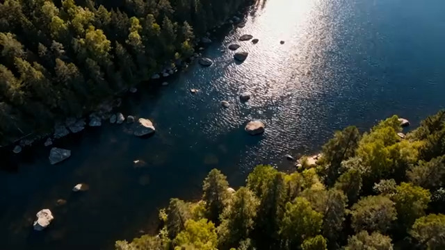  航拍森林湖泊晨光736#横屏 	 