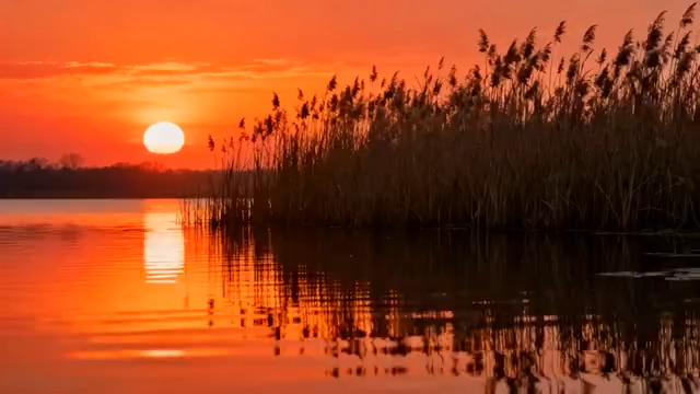  湖面芦苇荡落日美景851#横屏 	 