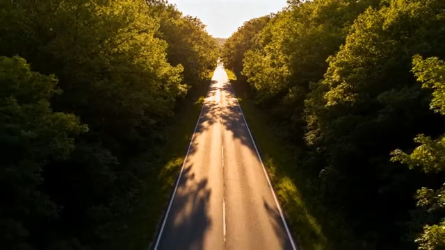  航拍森林阳光大道737#横屏 	 