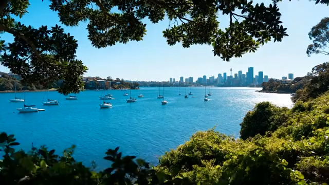  城市湖泊与绿植景观189#横屏 	 