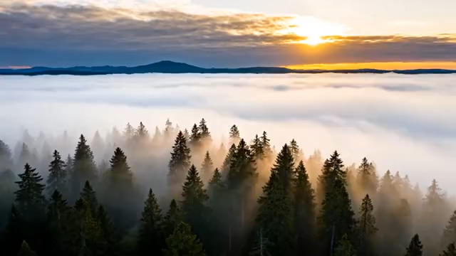  晨雾森林日出美景154#横屏 	 