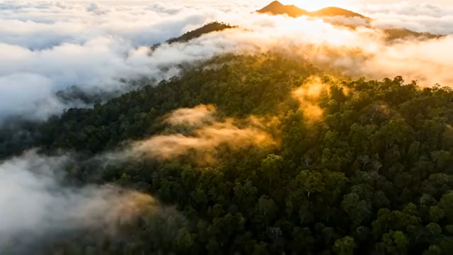  晨雾笼罩山峦航拍153#横屏 	 