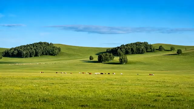  草原牧场风光116#横屏 	 