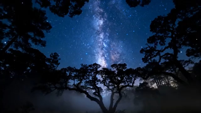  银河下的森林剪影2953#横屏 	 