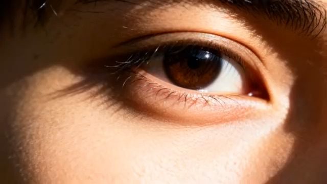  阳光下的棕色眼眸特写2865#横屏 	 -