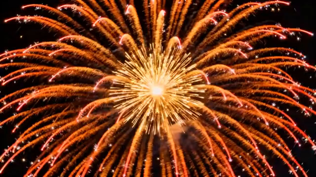  绚烂金色烟花绽放夜空2590#横屏 	 