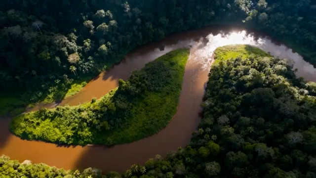  航拍雨林蜿蜒河流840#横屏 	 