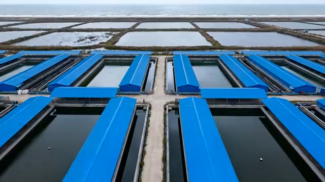  航拍水产养殖基地834#横屏 	 