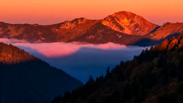  晨曦云海山峦壮丽景色218#横屏 	 - 