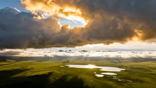  草原雄鹰展翅翱翔139#横屏 	 - 