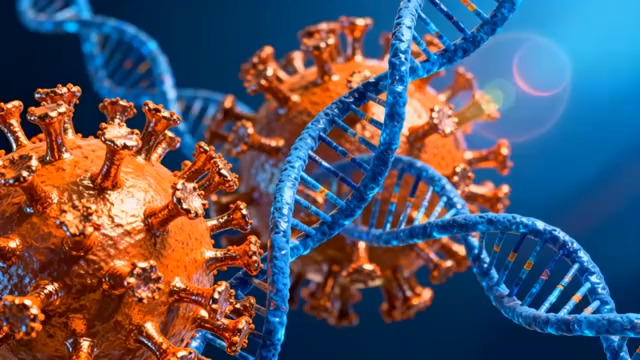  病毒与DNA结构动画79#横屏 	 