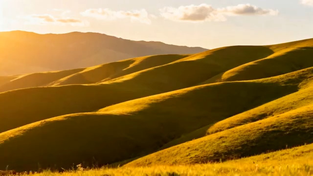  阳光下连绵起伏的草原风光1222#横屏 	 