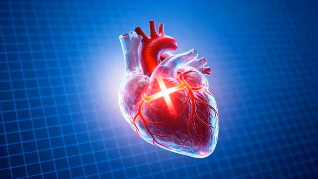  渲染心脏模型展示2097#横屏 	 