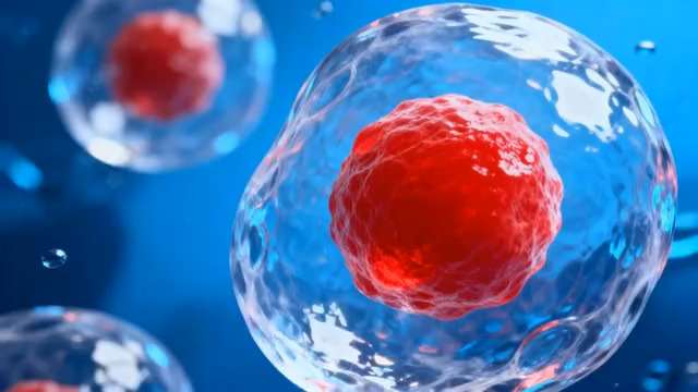  渲染细胞微观画面668#横屏 	 -