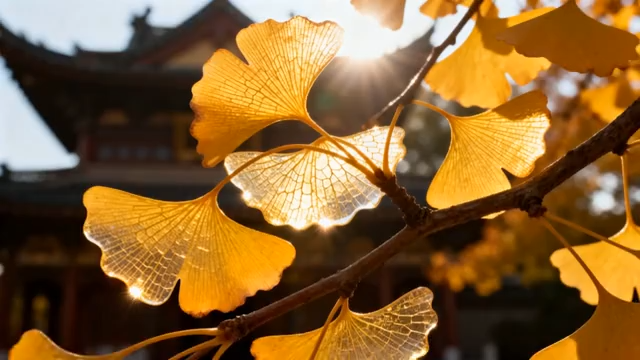 杏叶与古建筑特写1815#横屏 