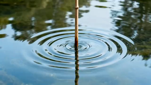  水中竹竿泛起涟漪画面1496#横屏 	 -