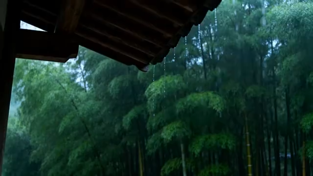 雨中竹林屋檐景象1098#横屏 