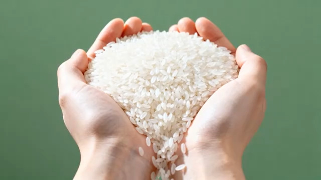  双手捧大米特写素材1819#横屏 	 