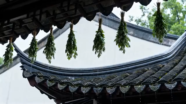 中古建筑屋檐挂艾草画面2402#横屏 