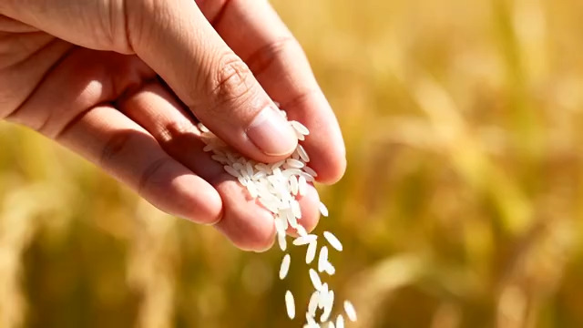  实验室中的化学实验器皿918#横屏 	 