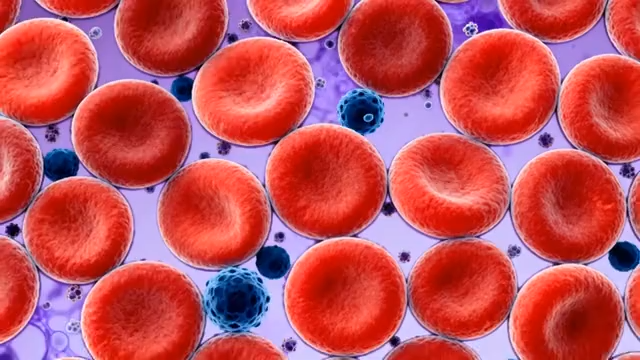 血液细胞微观展示素材2059#横屏 