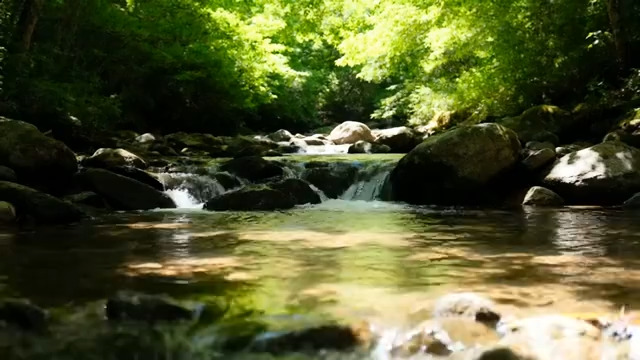  山林间溪流与岩石全景848#横屏 	 