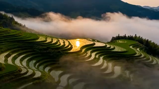  山间梯田晨景1408#横屏 	 