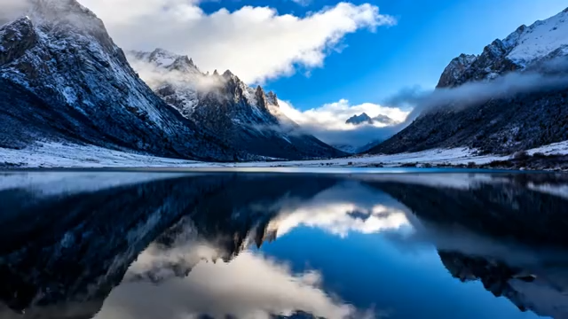 雪地中站立的驯鹿4567#横屏 