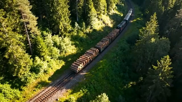 森林中货运火车航拍画面2815#横屏 	 