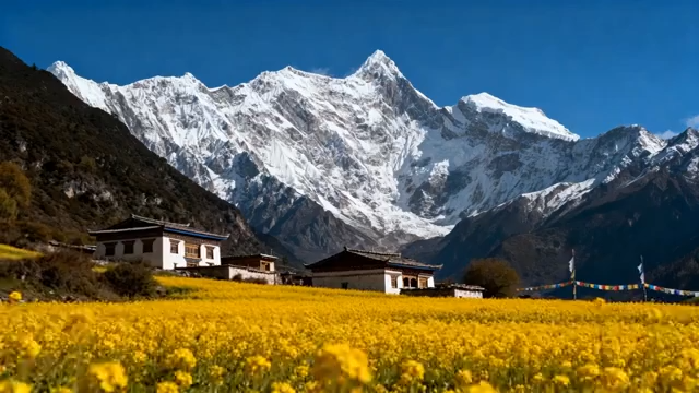 西藏雪山下的田野与民居628#横屏 