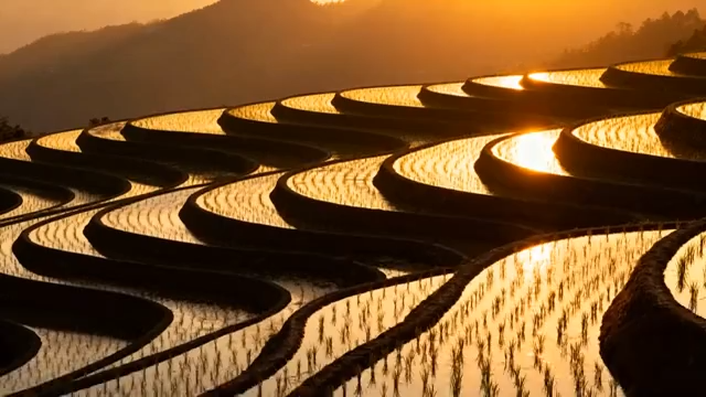 夕阳下的梯田风光436#横屏 