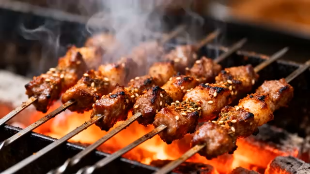 炭火上烤制的羊肉串素材1989#横屏 