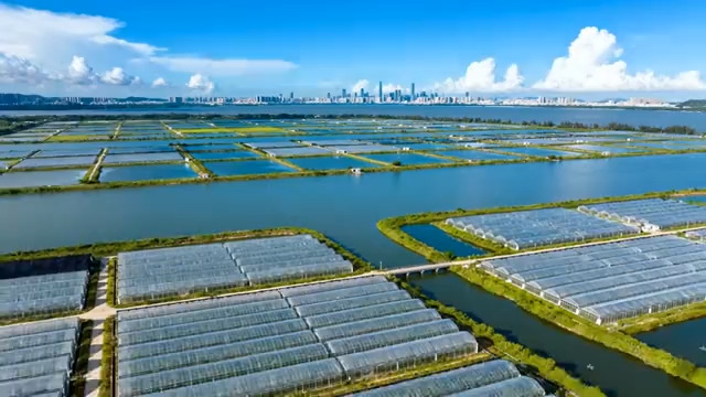  农业鱼塘及温室大棚航拍2979#横屏 	 