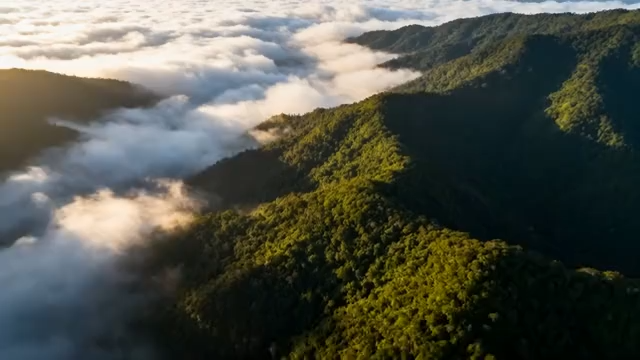 山林云海航拍全景73#横屏 