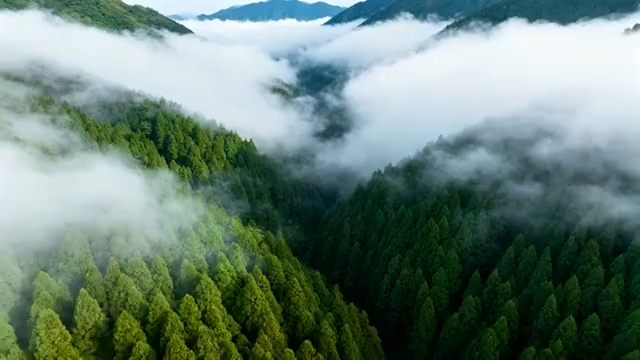 山林云海鸟瞰全景4228#横屏 