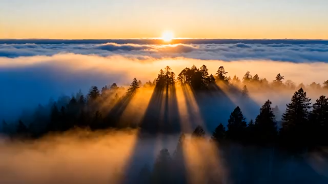 森林云海日出自然风光4499#横屏 