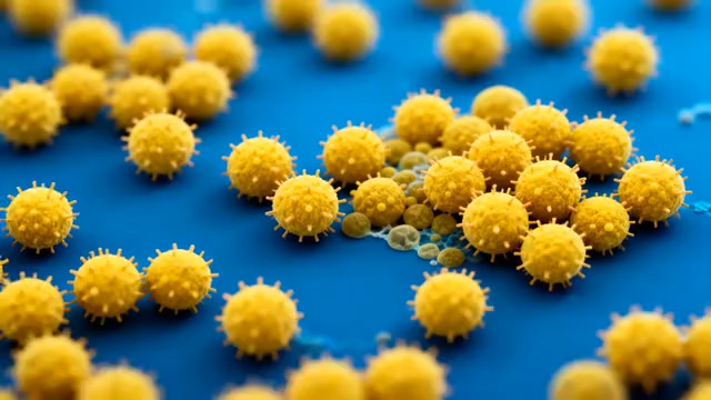  黄色病毒微观展示素材708#横屏 	 