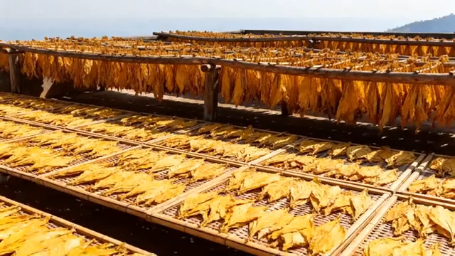  户外晾晒的干制物品2219#横屏 	 -