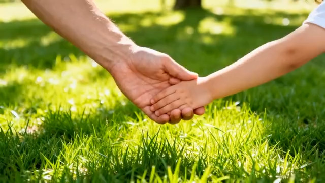  户外亲子牵手特写2764#横屏 	 - 