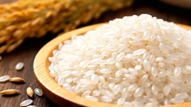 木盘装大米及稻穗特写3091#横屏 