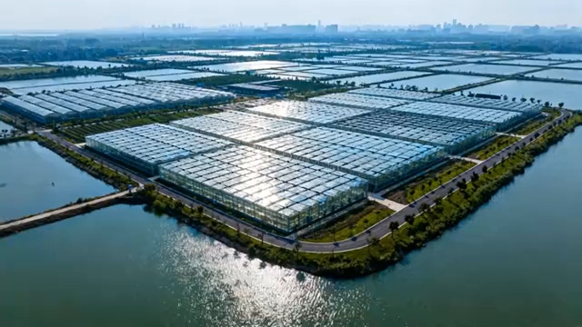  航拍农业温室与水域景观583#横屏 	 