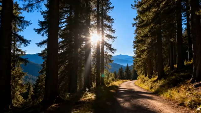 林间阳光照耀的山间小路3823#横屏 