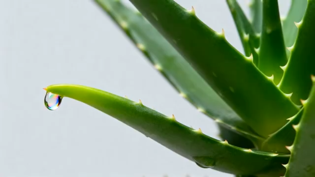 林间阳光照耀的山间小路3823#横屏 