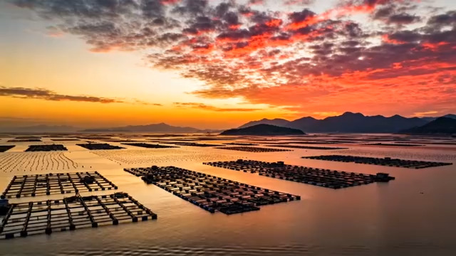  海上日落时分的养殖场景486#横屏 	 - 