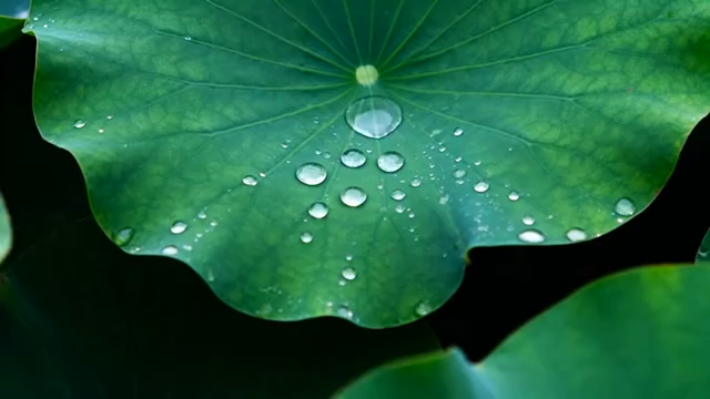 河畔教堂与自然风光景致4186#横屏 