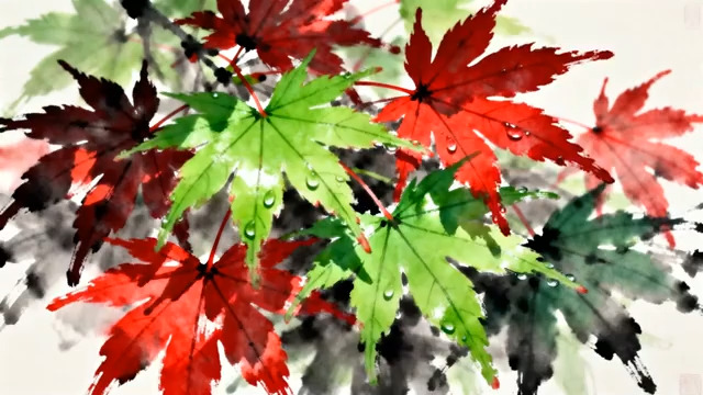  带水珠的红绿枫叶特写846#横屏 	 