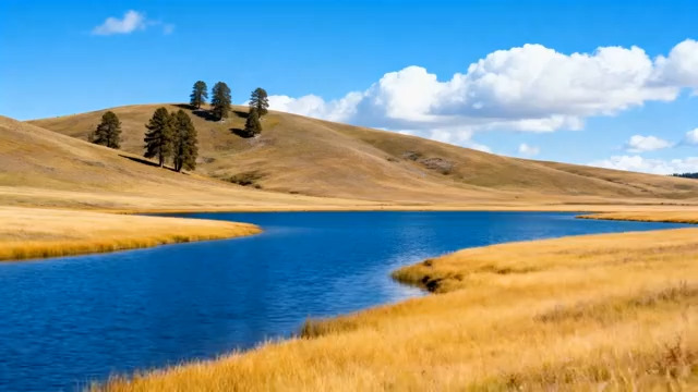  草原湖泊与树木自然景观2214#横屏 	 