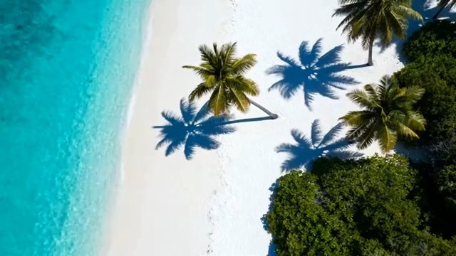 俯瞰海滩与棕榈树3433#横